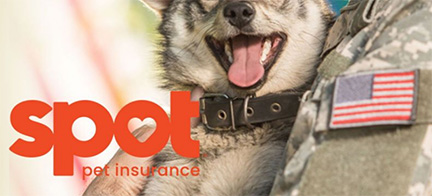 Spot Pet Insurance